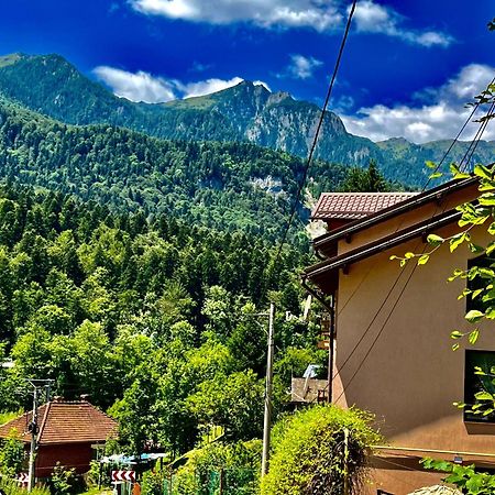 Pensiunea Roua Sinaia Exterior photo