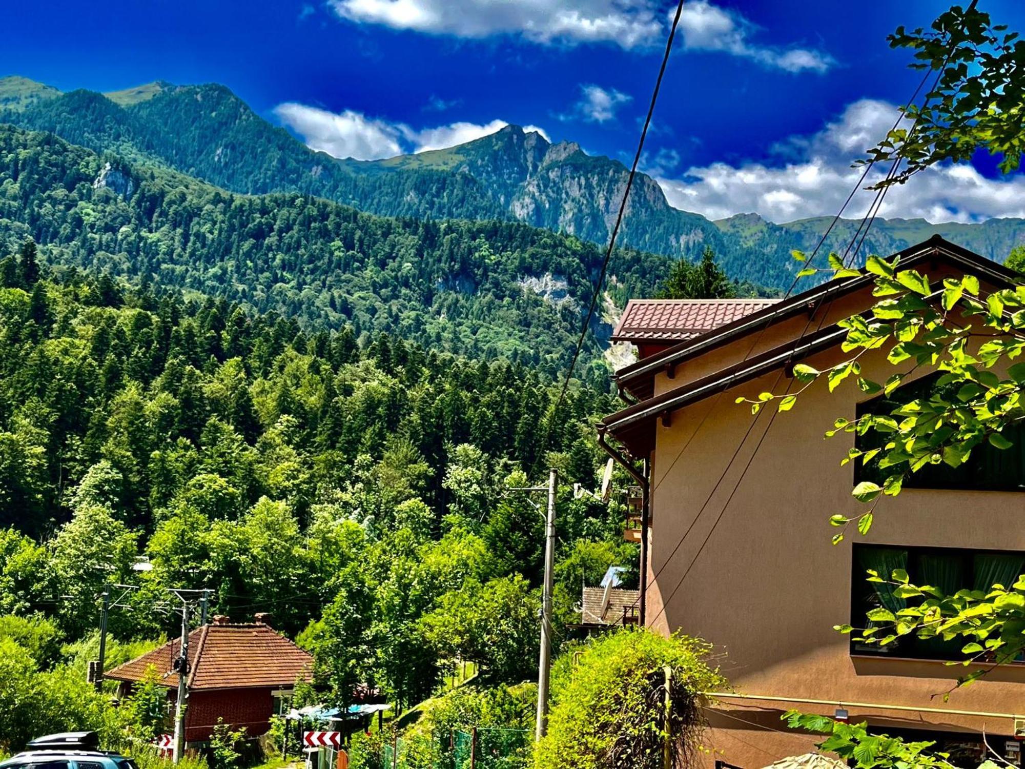 Pensiunea Roua Sinaia Exterior photo